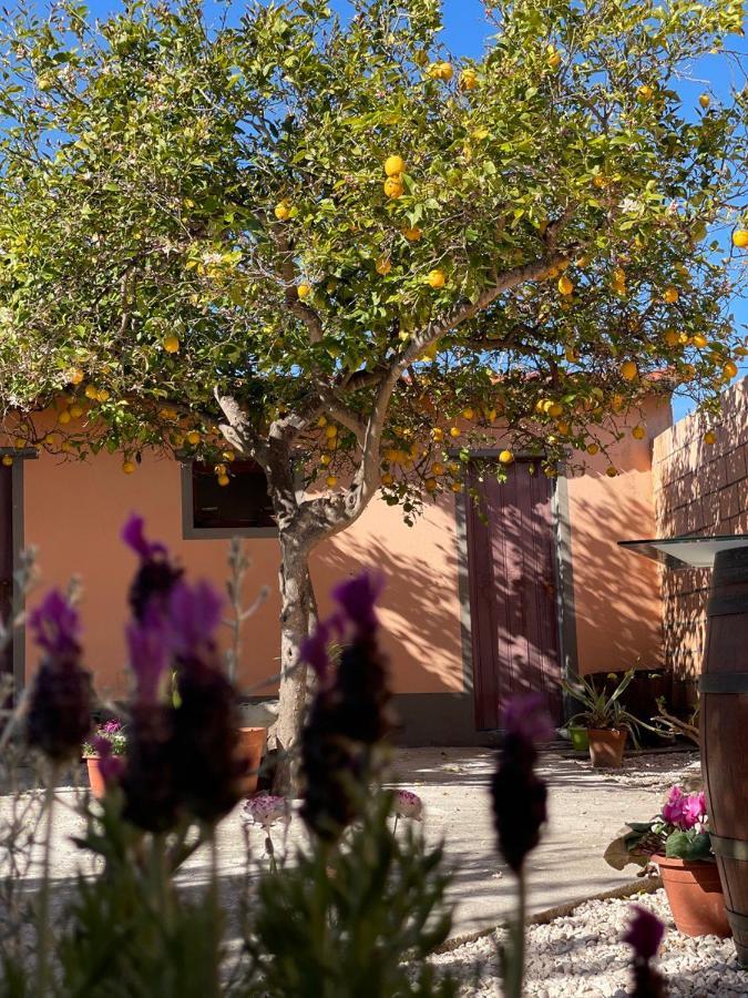 Bed and Breakfast Su Fassoi Càbras Esterno foto